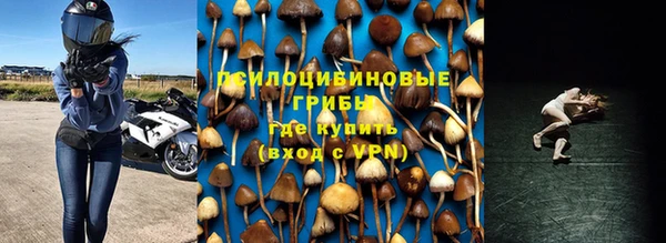 герыч Алзамай