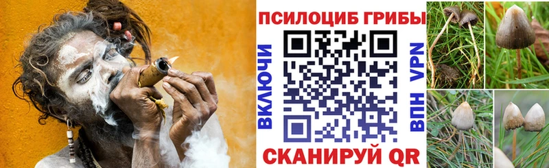 Псилоцибиновые грибы MAGIC MUSHROOMS  цена наркотик  Лысьва 